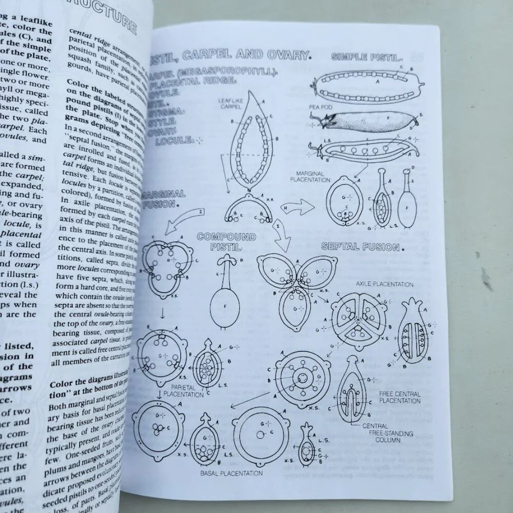NEW Botany Coloring Book Adult High School Paperback High School Science Activit